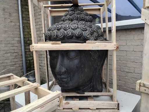 Capul lui Buddha 110