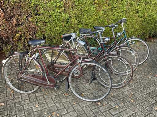 Gazelle Fiets (4x)