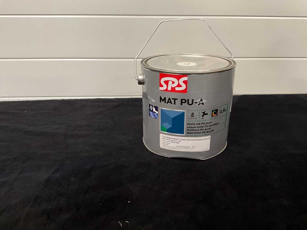 Sps Indoor Lacquer Paint, PUR, Glue & Kit