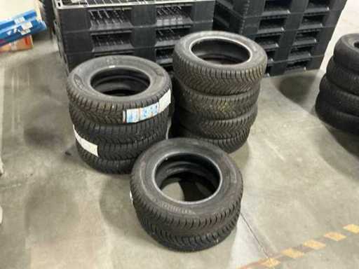 Uniroyal en Hankook Diverse autobanden (10x)