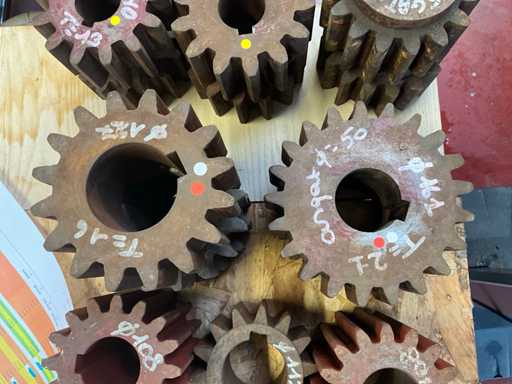 Various sizes of pinions