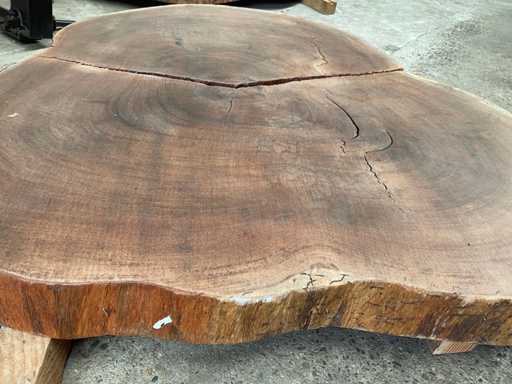 Guyana Teak houten schijf 1200mm