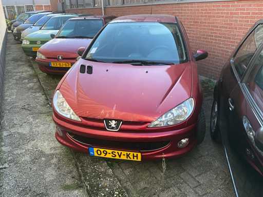 Peugeot 206 Passenger car