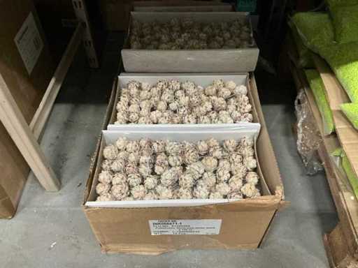 Partia Pubescens 10cm drutu białego (1000x)