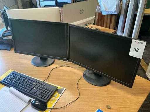iiyama PL2483H Monitor (2x)