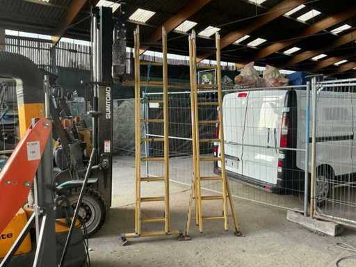 Staltor 2x10 échelle coulissante en polyester 2x10