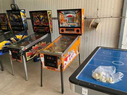 Williams Bad Cats 575 Flipperkast