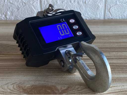 Rechargeable Digital Crane Scale