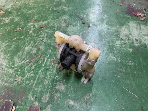 Pompa pneumatică cu diafragmă ARO Expert