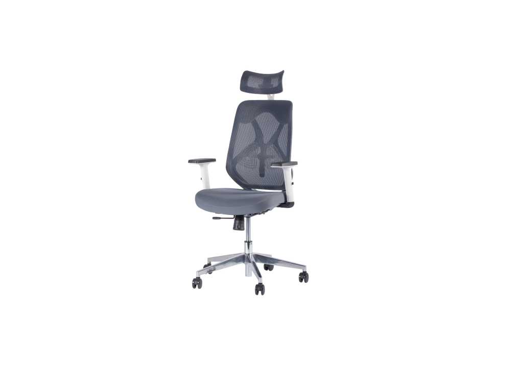 1x Chaise de bureau Ergo 1 grise