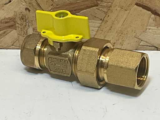 BPE Gas Ball Valve (25x)