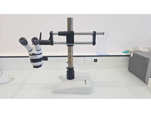 WILD HEERBRUGG - Stereo Microscope