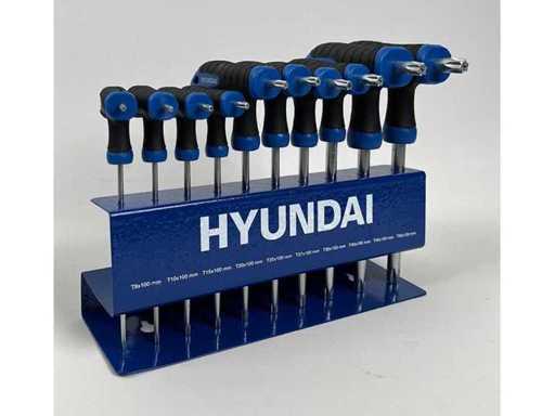 T-handle torx wrench set (2x)