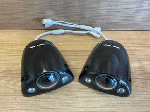 Hikvision IR Netwerk camera (2x)