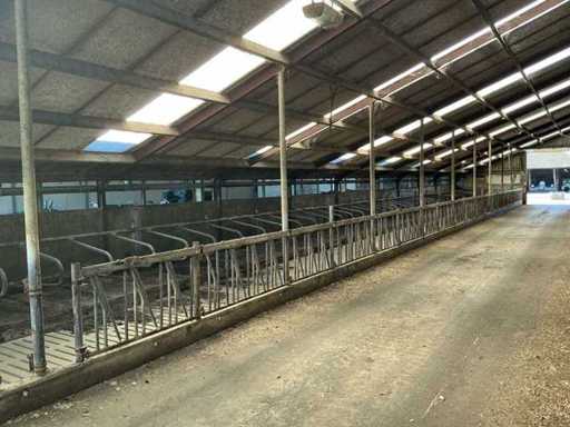 Gea Jongvee stalinrichting 50 boxen