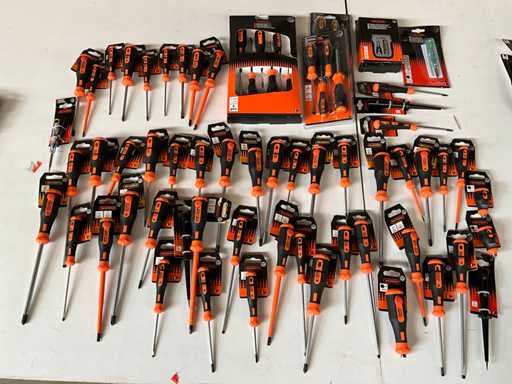 Skandia Batch Verschiedene Schraubendreher