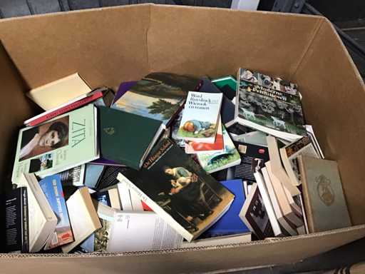 Palettenkiste mit Büchern