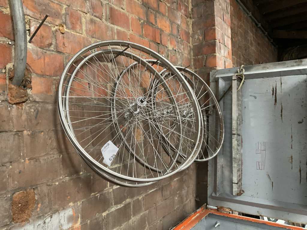 Bicycle wheel (5x)
