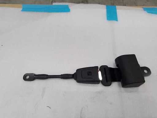 Stoeltechnologie - Tuig - Heupgordel - 2022 (10x)