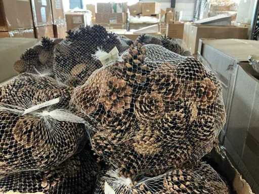 Lot Austria cone natural, 1kg na worek (110x)