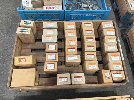 Batch-Schrauben mit Muttern (800x)