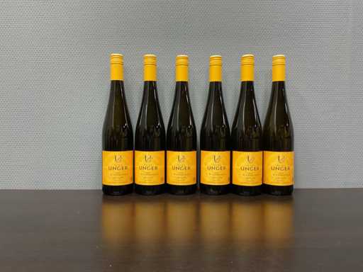 Petra Unger Gaisberg Riesling 2020 (6x)