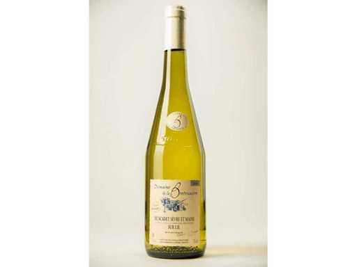 2024 - Muscadet Sèvre et Maine Prestige 2025 - Domaine La Bretonnière - Loire - White wine (12x)