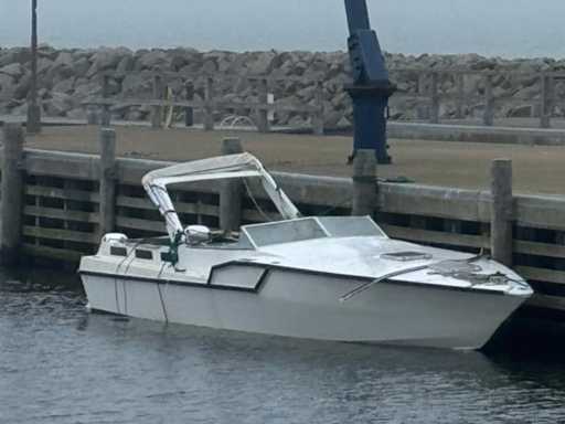 Barca a motore usata con rimorchio – barca da progetto con 2 fuoribordo