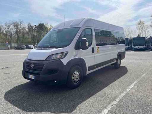 Fiat - Ducato - Minibus