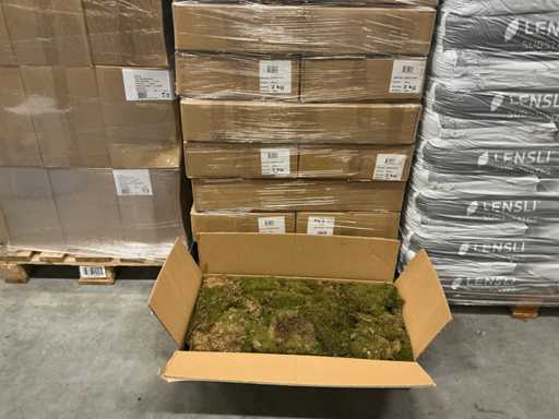 Partij lappenmoos 2kg per doos (33x)