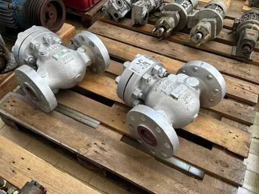 Flanged check valves