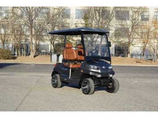 Golf Buggy : Metallic grijs