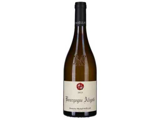 2023 - Bourgogne Aligoté - Domaine Michel Noëllat - Bourgogne - Vin Blanc (6x)