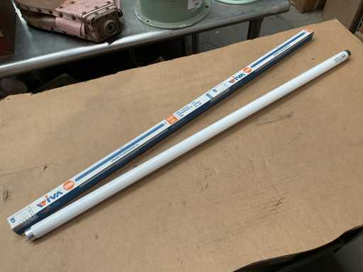 Lampe fluorescente Wiva Triphosphor T8 30W (40x)