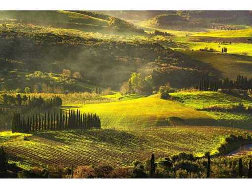 Studio 57 - photo sur Dibond - 100 x 150 cm.