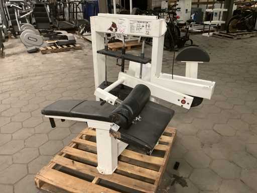 Cybex Prone Leg Curl Kraftwerk