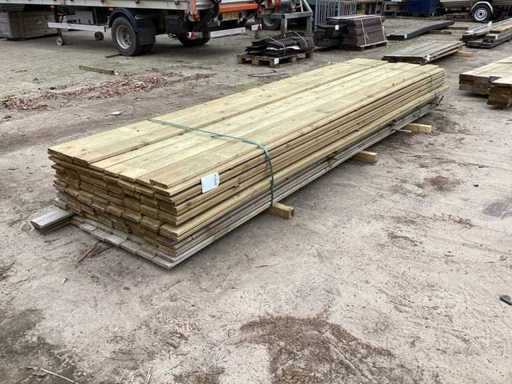 Abete Pianello (150x)