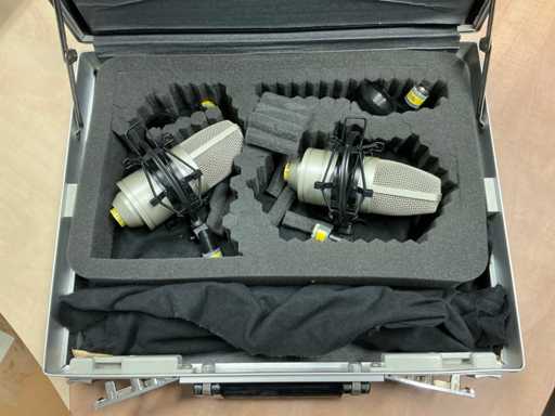  Microphone Nordweg (2x)