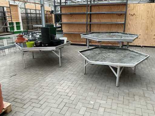 Tabelul cu plante (4x)