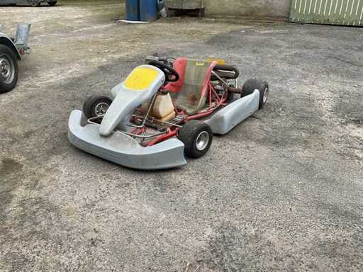 Alpha Karting Galaxy Kart