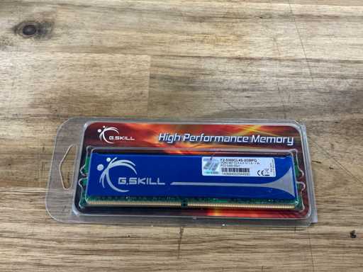 G.Skill High Performance Memory F2-5300CL4S-2GBPQ