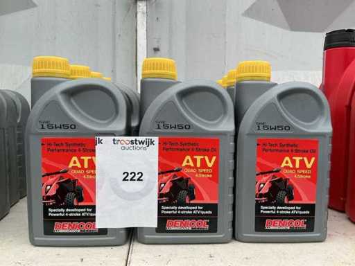 Denicol Fassungsvermögen 1 Liter SAE 15W50 Biker 4-Takt-Motoröl (17x)