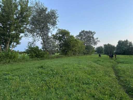 Plot of land 4.638 m² in Lalendorf - Germany