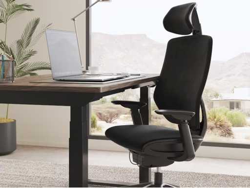 Adjustable Ergonomic Chair with Split Lumbar Support
