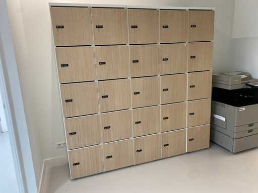 Parete degli armadietti/cassette postali 25 porte