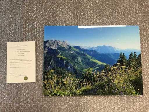 Stampa "Sussurri di Tirol"
