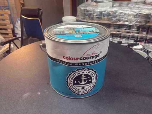 Kolor odwagi Paint (2x)