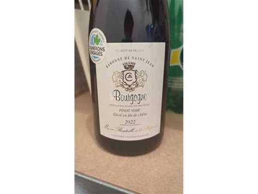 Bourgondische Pinot Noir 2022 - Baronne De Saint Jean - Rode wijn (18x)