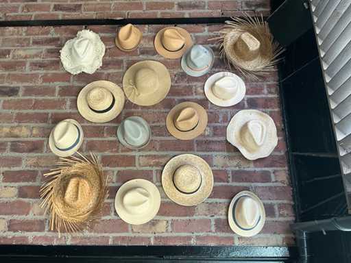 Decoration material Hat (16x)