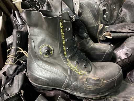 Cizme Party Mickey Mouse, Armata SUA